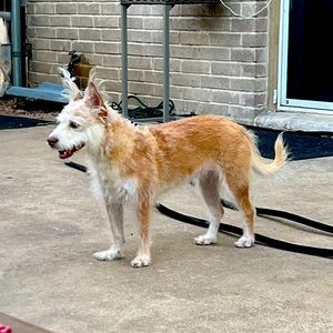 Meet your Posher, Willow